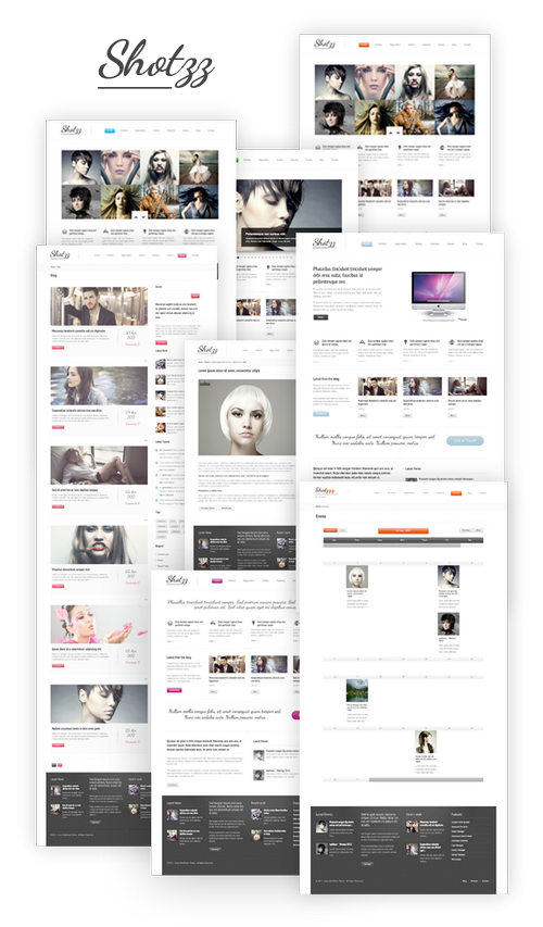 Wordpress премиум бизнес тема - Shotzz